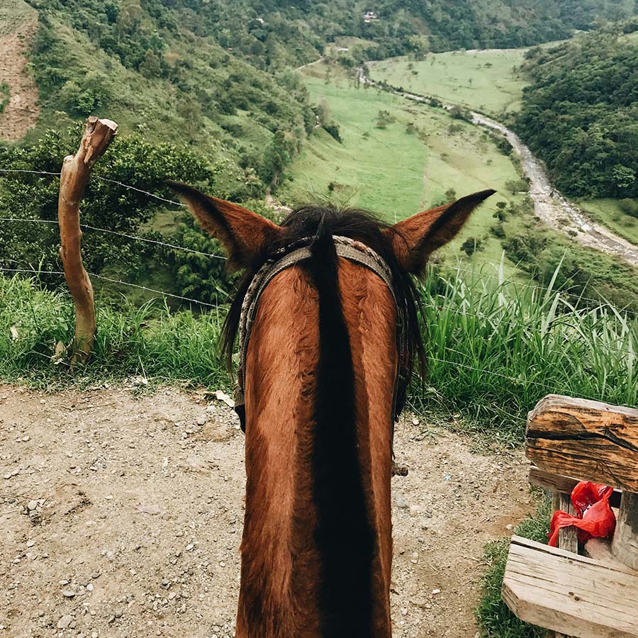 Horseback riding in the mountains.