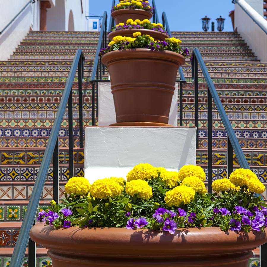 Tiled outdoor steps with large pots with colorful flowers.
