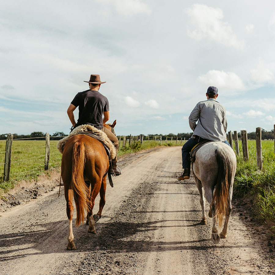 Two people riding horses along dirt road lines with grassy fields.