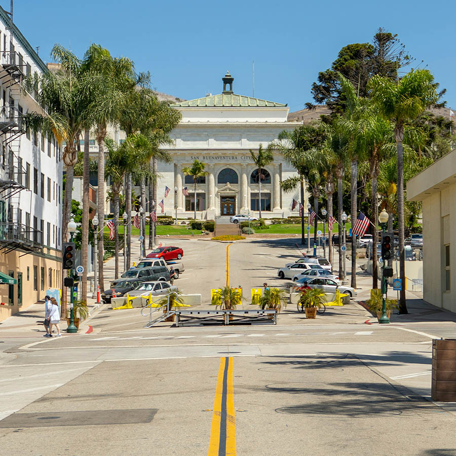 Town street with classic buildings and palm-tree lined drives.
