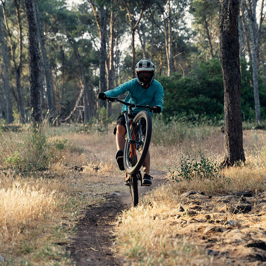 Person riding bike along dirt trail through the forest.