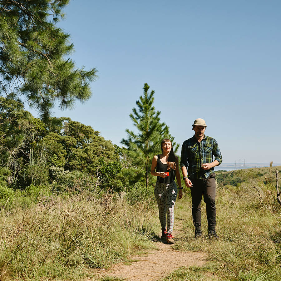 Two friends walking together along path lined with tall pine trees.