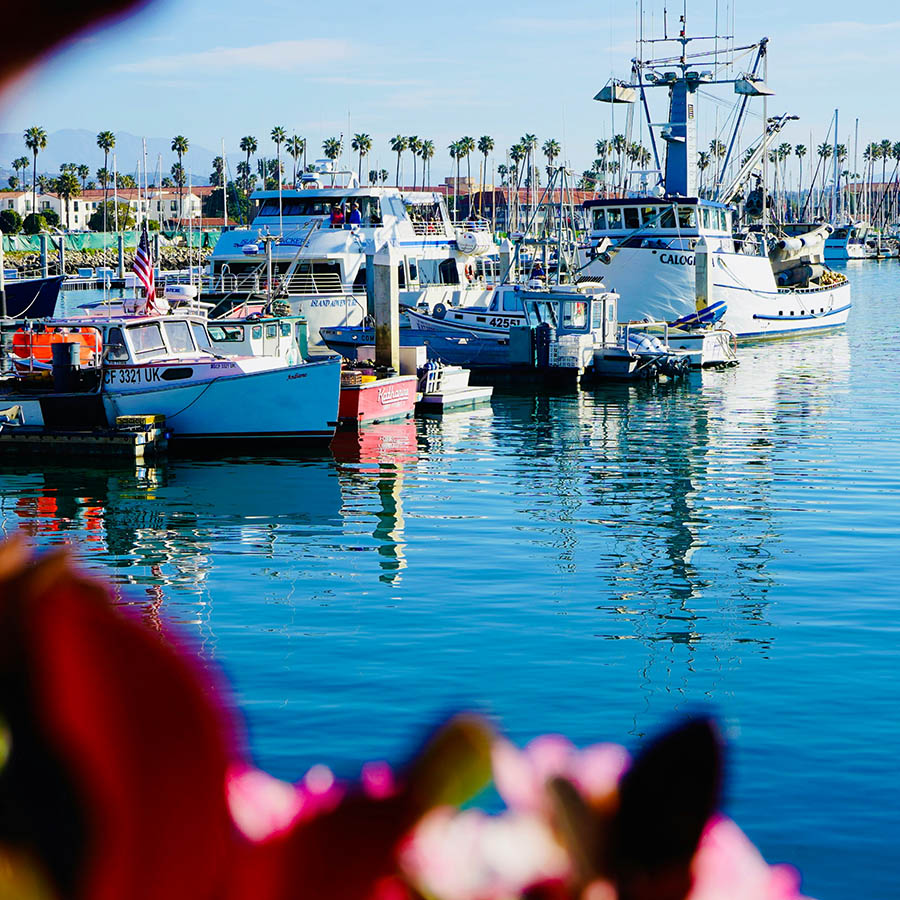 Marina with colorful flowers and large boats in the sea.