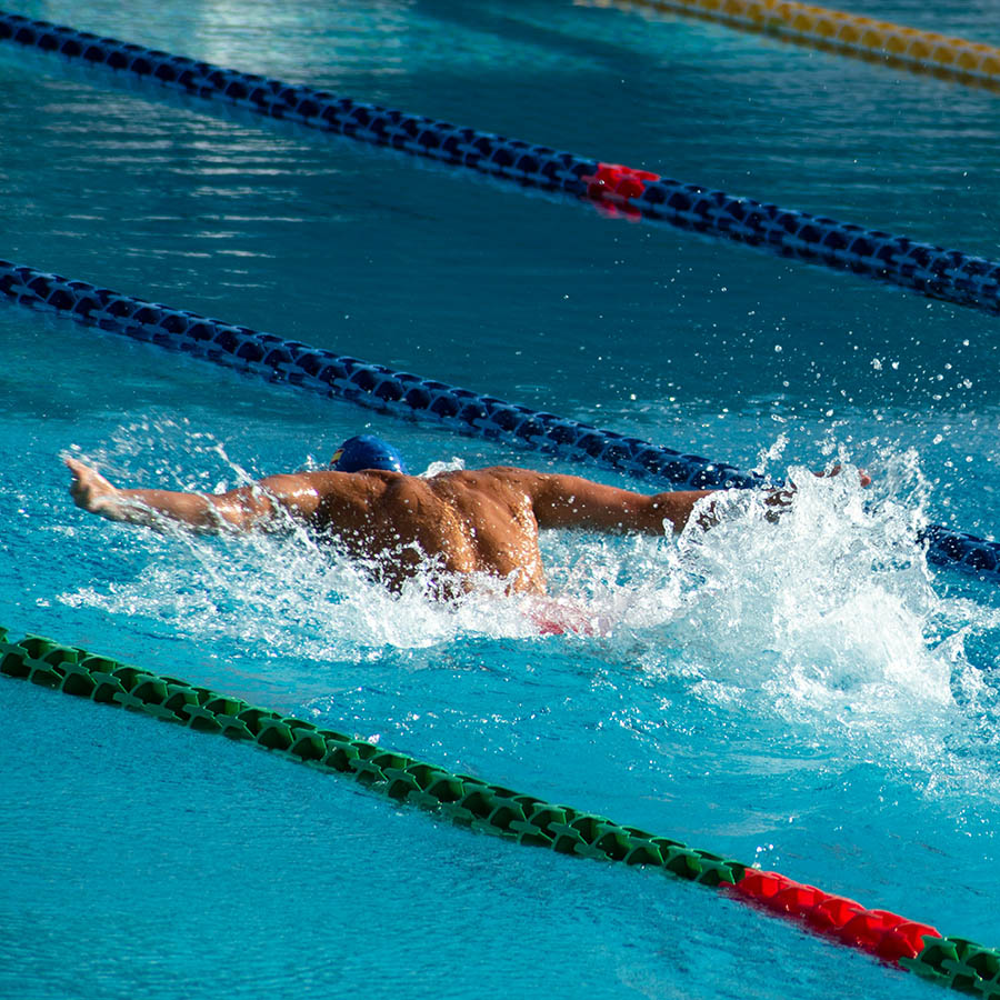 Person swimming freestyle in Olympic swimming pool.