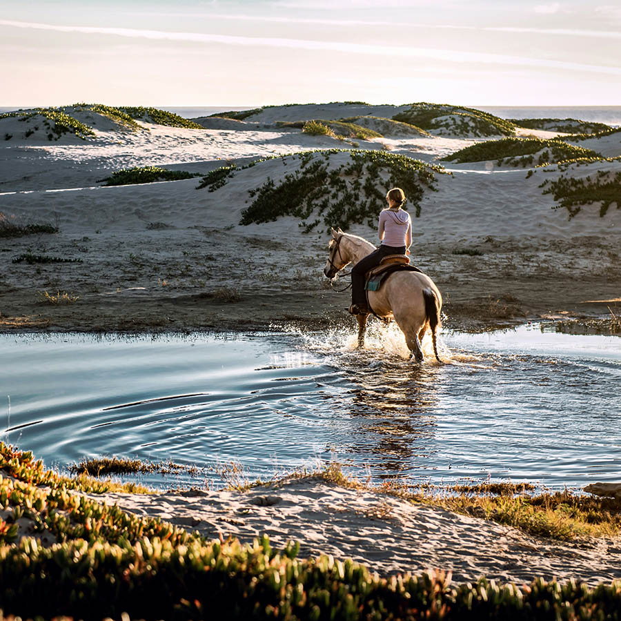 Person riding horse through shallow puddle in coastal sand dunes.