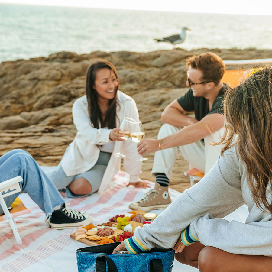 Friends picnicking together on sandy beach in the sunshine.